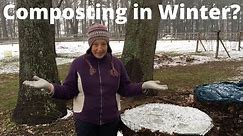 Composting in Winter: 4 Tips for Success
