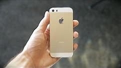 New Gold iPhone 5S Sneak Peek (vs iPhone 5 Teardown)