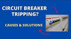Why does Circuit Breaker keep Tripping? The Most Common Causes!