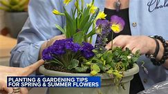 Spring is time to make plans for summer planting and gardening