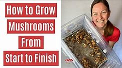 How to Grow Mushrooms from Start to Finish in a Monotub