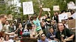 Occupy Wall Street: the story behind seven months of protest – video