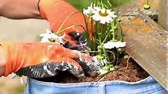 Upcycle old jeans to decorate your garden with!