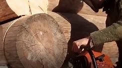 Build a log cabin from scratch