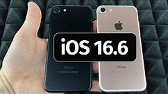 How to Update iPhone 8 & iPhone 8 Plus to iOS 16.6