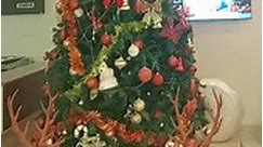 ((((LIVE))))) CHRISTMAS TREE... - AH Hotel & Conference