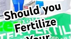Should You fertilize New Sod?
