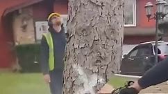 Special tree felling techniques you should learn #survivalskills #Shorts #tree #treework #dangerous-000 #logging #chainsaws #stihl #loggerlife #treefelling #chainsaws #logginglife #stihl #viral #logger #timberjack #DIY手作 #buildingfun #build #diyhome #homedecor #homemade #aframehouse #treefelling | Meio Life