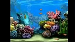 FREE Aquarium Screensaver, Turn Your Screen Into A Living Fishtank!