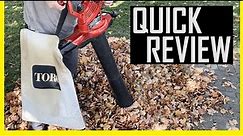 Toro Leaf Blower Vac Review - Leaf Vac/Leaf Vacuum Toro Ultra Blower Vac Pros and Cons