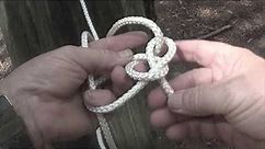 knots used to pull tree down