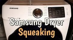 How to Fix a Samsung Dryer Squeaking Noise, Squealing Noise Caused by Roller or Tensioner