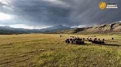 REAL ESTATE: Wyoming's new land rush