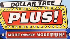 DOLLAR TREE PLUS IS HERE! What it’s really all about