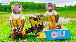 Smart baby monkey Obi drives a truck through a wormhole