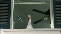Aflac - Rooftop commercial (2006)