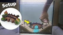 DIY Fish Tank Decoration Ideas for Your Betta and More