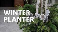 HOW TO CREATE AN OUTDOOR WINTER PLANTER | Easy Holiday Decorating