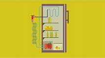 How Refrigerators Work: From Basic to Advanced