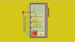 How Does A Refrigerator Work? | Refrigeration Explained