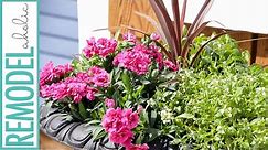 Easy Tips for Planting Beautiful Outdoor Flower Pots