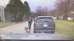 WATCH: Traffic stop interrupted by couple of wild turkeys