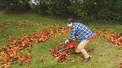 Fall For Your Yard