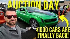Can we buy a Clean Drive-able car for $1000 at a Dealer Auction ? - Flying Wheels
