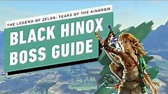 The Legend of Zelda: Tears of the Kingdom - Black Hinox Miniboss Gameplay Walkthrough