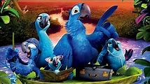 What Kids Think of Rio 2: A Fun and Colorful Sequel