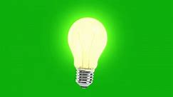 Realistic Light Bulb animation on a green screen. Light Bulb animation with key color. Chroma color.