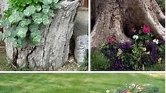 Tree Stump Planters!!! 💖💖 Here's... - Recipes From Heaven