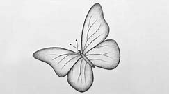 Ephemeral Elegance: Pencil Butterfly Sketch Art 🦋