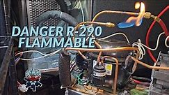 DANGER ! R-290 IS A HIGHLY FLAMMABLE REFRIGERANT