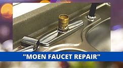 Moen Style Kitchen Faucet Repair