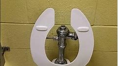 Toilet Flushing #55