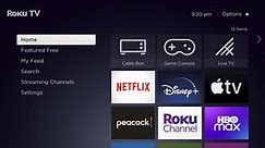 Fix: Roku TV screen is white or has white lines - StreamDiag
