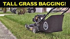 Fast Bagging Tall Thick Grass with my 30" Mower
