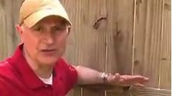 Wooden fence gates sag over time — no matter how well you build them! But you don't have to settle for sags. In this video, "Simple Solutions" host Joe Truini demonstrates how to install a caster for smooth operation. #todayshomeowner #THseason25 #simplesolutions #diy #lifehacks #fence #gate #fencegate #diyprojects #gaterepair #gatehack #caster #carpentry #diyprojects #hacksandtips #homeimprovement #alwayslearning #reels #reelsvideo #reelsfb | Today's Homeowner
