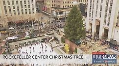 WATCH LIVE: Rockefeller Center Christmas tree