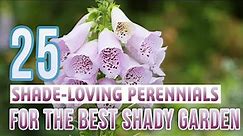 25 Shade Loving Perennials For The Perfect Garden In The Shade