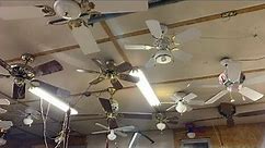 Ceiling Fan Display 6