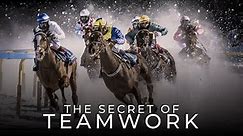 The Secret Of Teamwork - Best Teamwork Motivational Video
