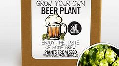 Grow Your Own Beer Plant