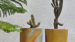DIY Concrete planters and pots for house plants