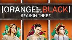 Orange is The New Black: Season 3 Episode 102 Sophia: The New Beginning of Laverne Cox Bonus Feature
