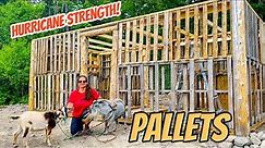 DIY Pallet Barn/Shed Build In 10 minutes Timelapse