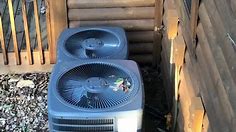 2014 2.5 ton Goodman GSX13 air conditioner starting up