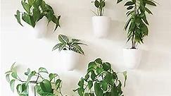 Make Good Virgo Self-Watering Wall Planters (Set of 6) - Easy to Water and Install - Lightweight - Design Your Own Vertical Garden - Wall Planters for Indoor Plants