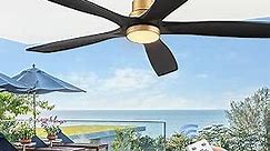 Ceiling Fans with Lights Remote Control - 60 inch Modern Ceiling Fan with Light 5 Black Wood Blades, Reversible Motor for Indoor/Outdoor Patio, Bedroom, Living Room, Farmhouse